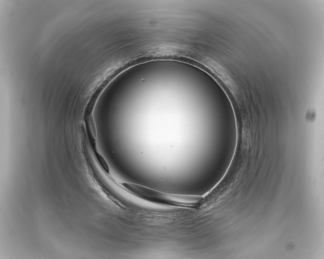 X0000094170485200711020944