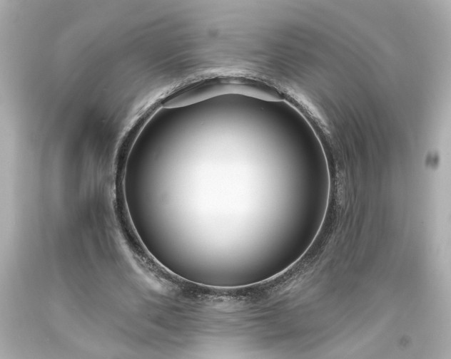 X0000094170486200711020944