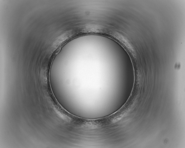 X0000094170489200711020944