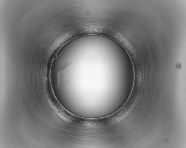 X0000094170490200711020944