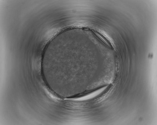 X0000094170493200711020944
