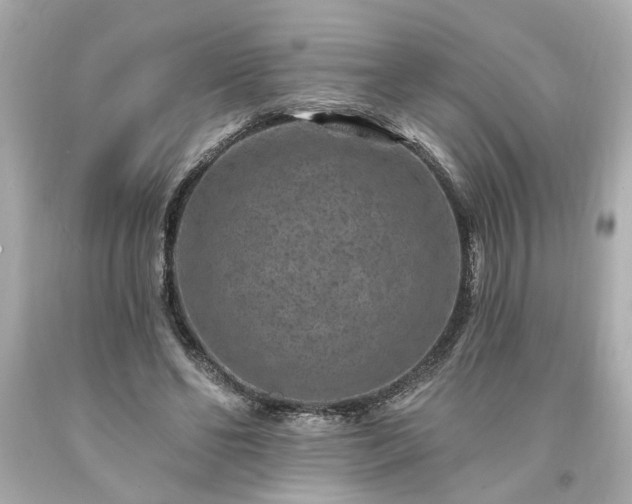 X0000094170494200711020944