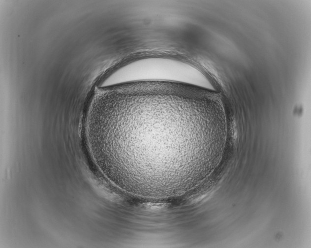 X0000094170495200711020944