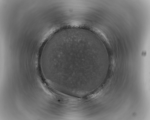 X0000094170496200711020944