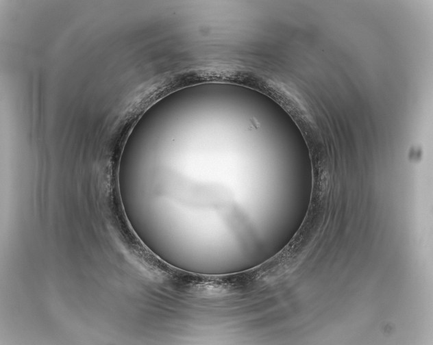 X0000094170498200711020944