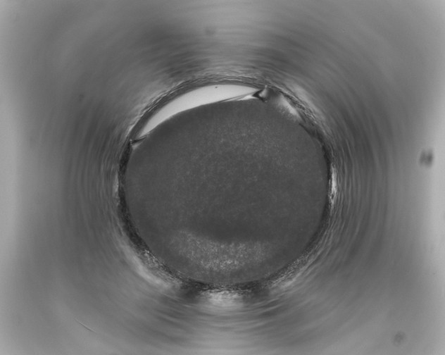 X0000094170500200711020944