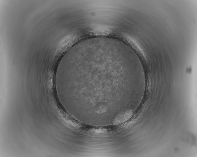 X0000094170501200711020944