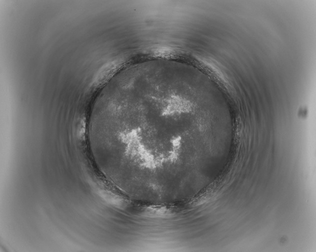 X0000094170502200711020944