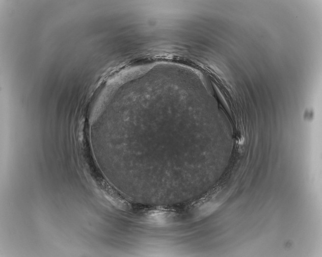 X0000094170504200711020944