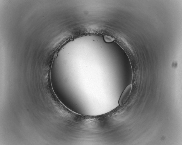 X0000094170505200711020944