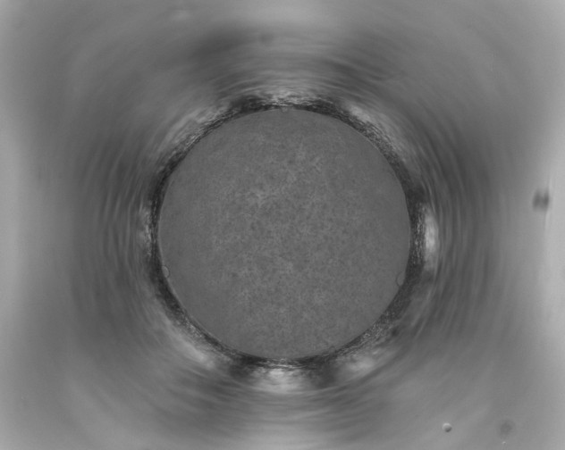 X0000094170506200711020944