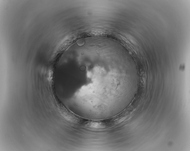 X0000094170507200711020944