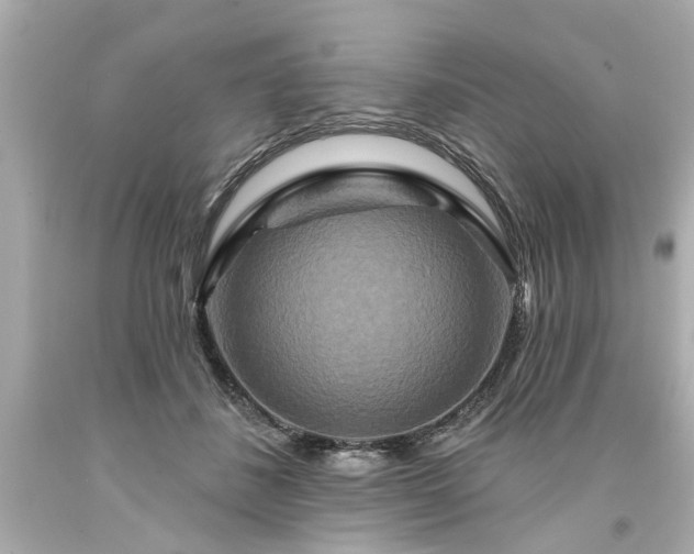 X0000094170508200711020944