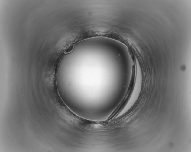 X0000094170509200711020944