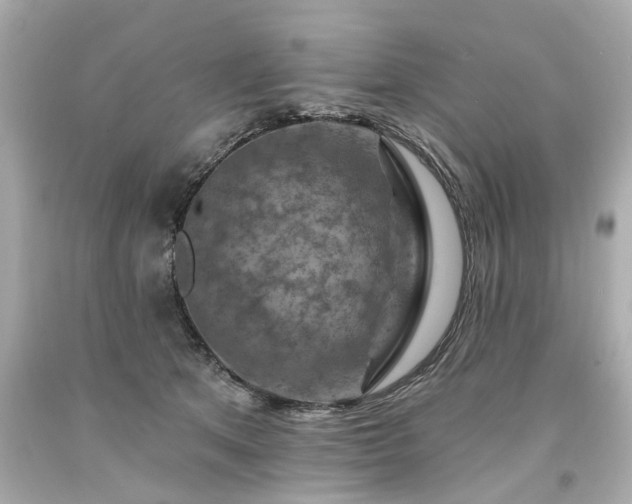 X0000094170513200711020944