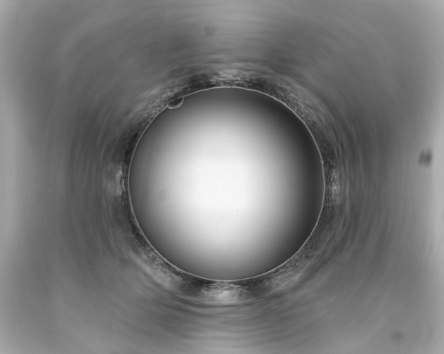 X0000094170514200711020944