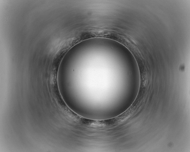 X0000094170515200711020944