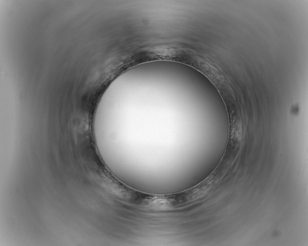 X0000094170518200711020944