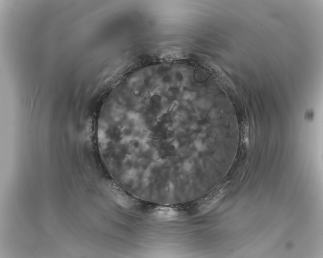 X0000094170519200711020944
