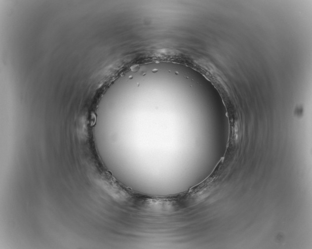 X0000094170520200711020944