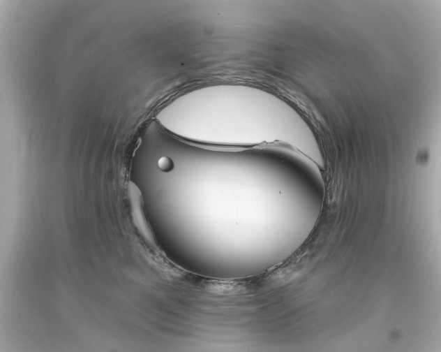 X0000094170521200711020944