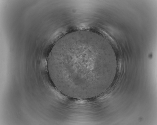 X0000094170523200711020944