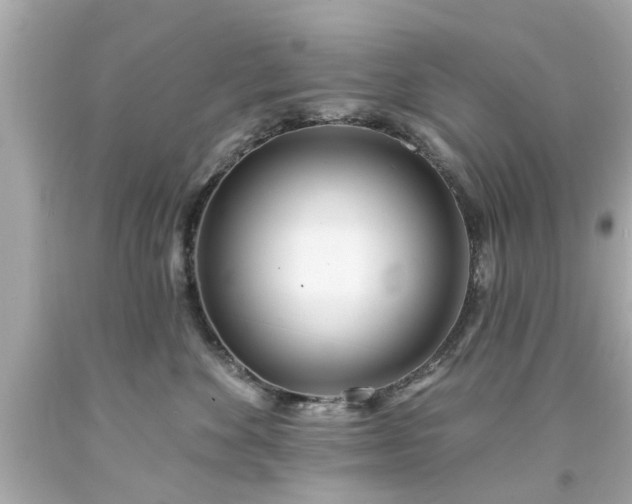 X0000094170524200711020944