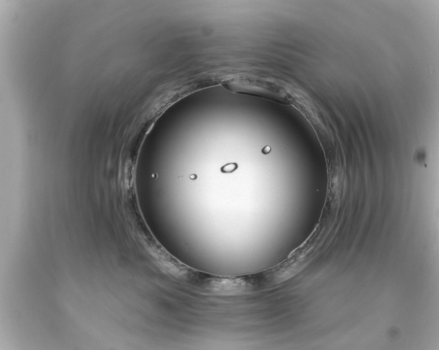 X0000094170525200711020944