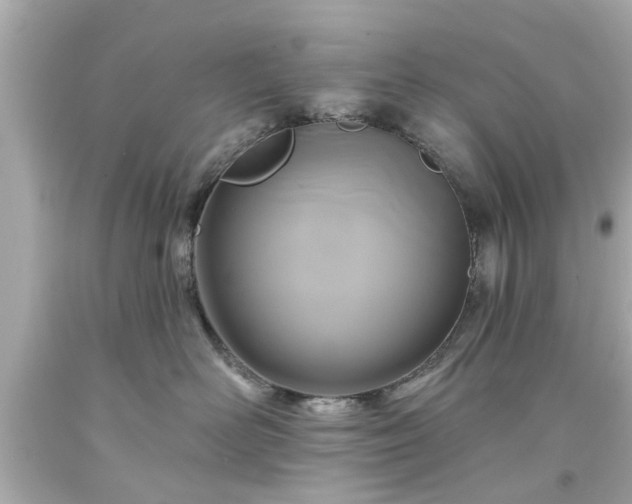 X0000094170526200711020944