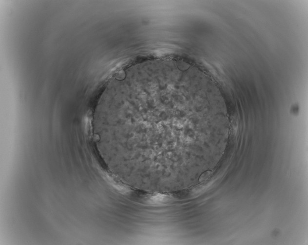 X0000094170527200711020944
