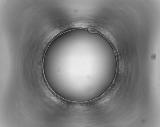 X0000094170529200711020943