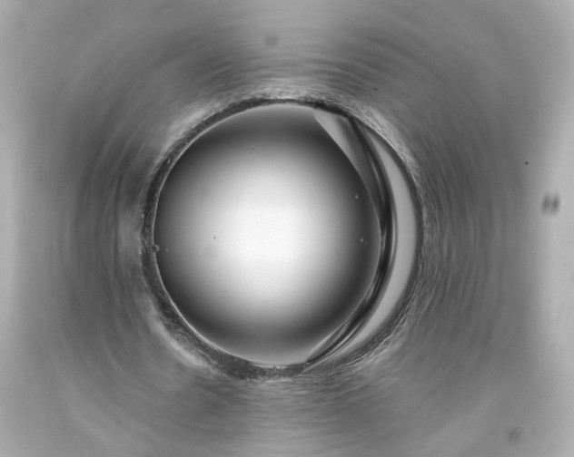 X0000094170530200711020943
