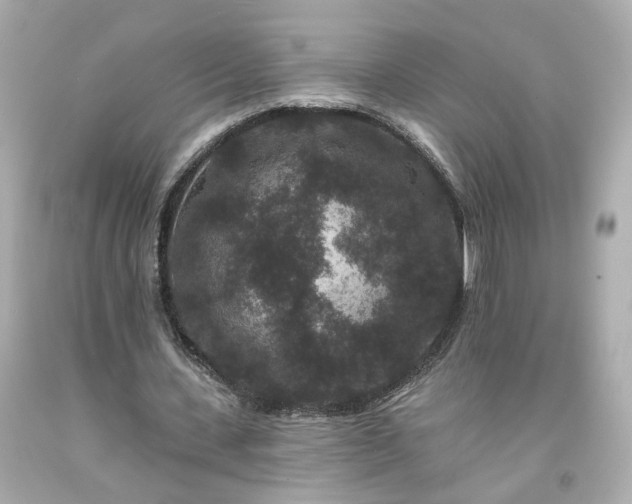 X0000094170531200711020943