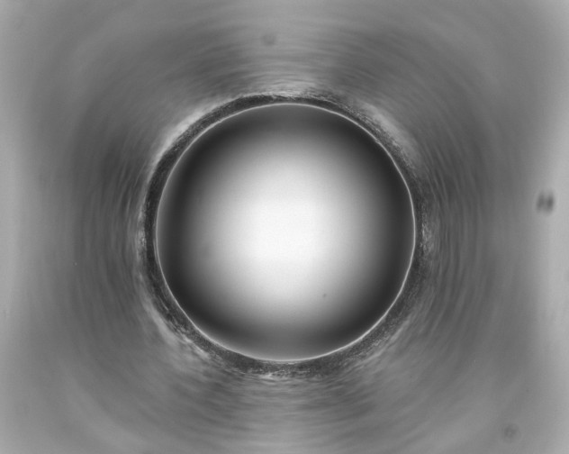 X0000094170532200711020943