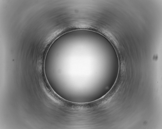 X0000094170533200711020943