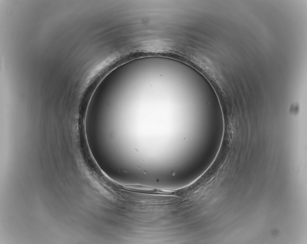 X0000094170535200711020943