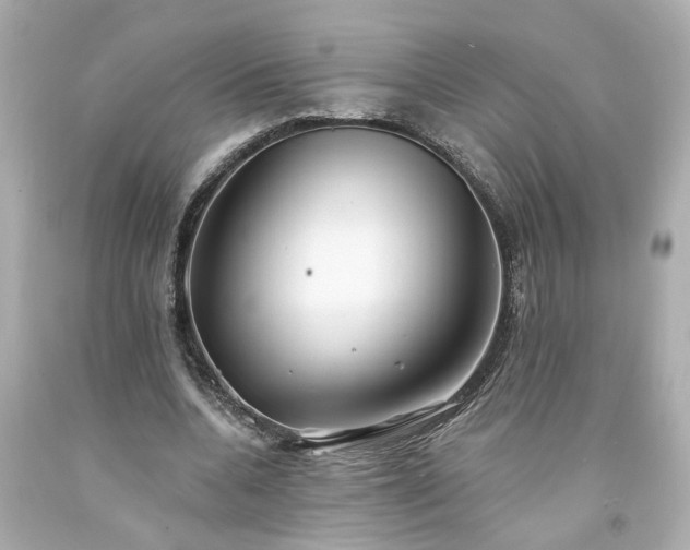 X0000094170536200711020943