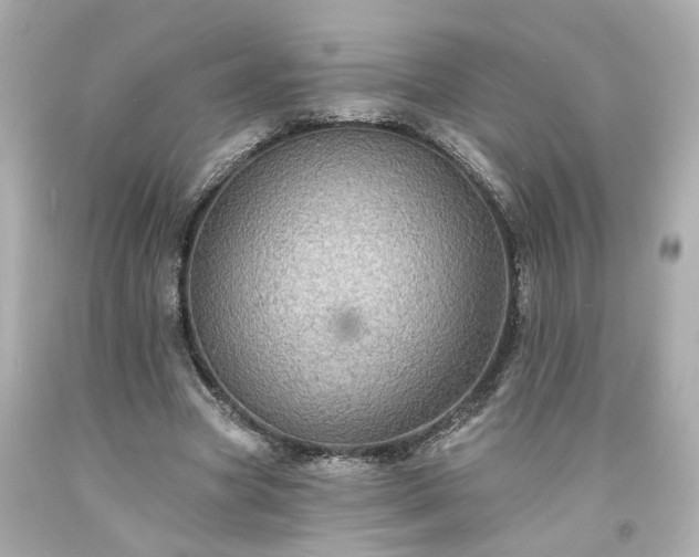 X0000094170537200711020943