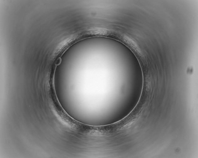 X0000094170538200711020943