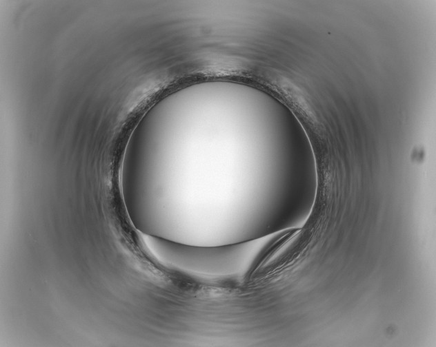 X0000094170539200711020943