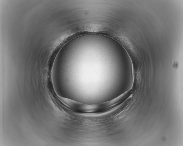 X0000094170540200711020943