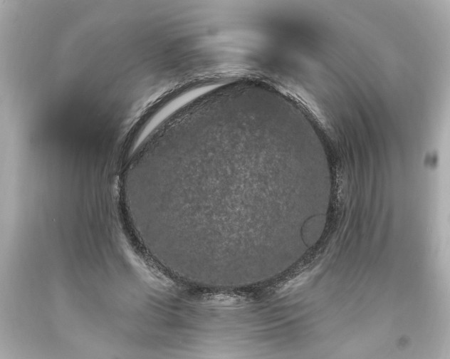 X0000094170542200711020943