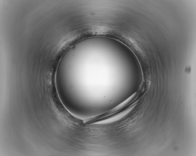 X0000094170543200711020943
