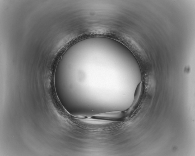 X0000094170544200711020943