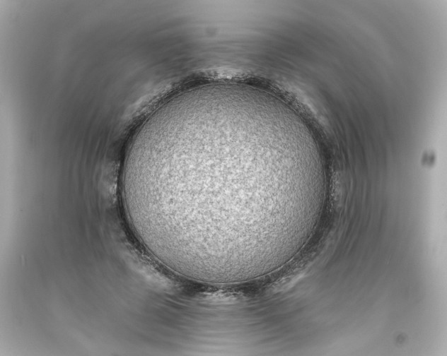 X0000094170545200711020943