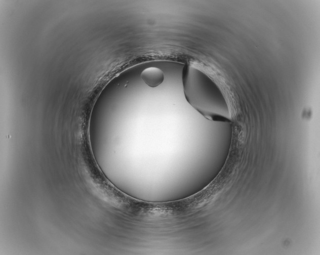 X0000094170546200711020943