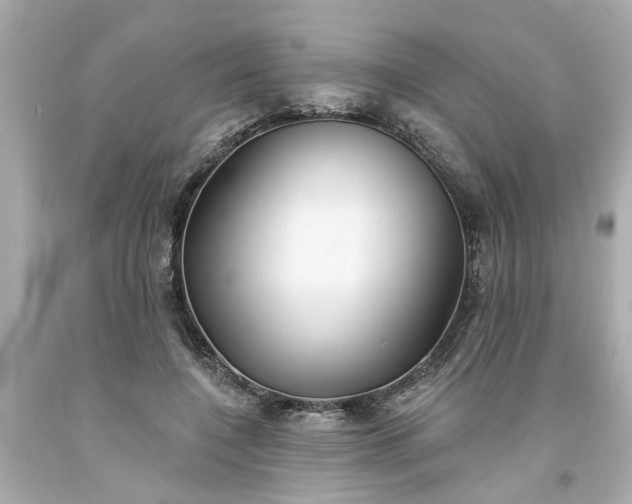 X0000094170548200711020943