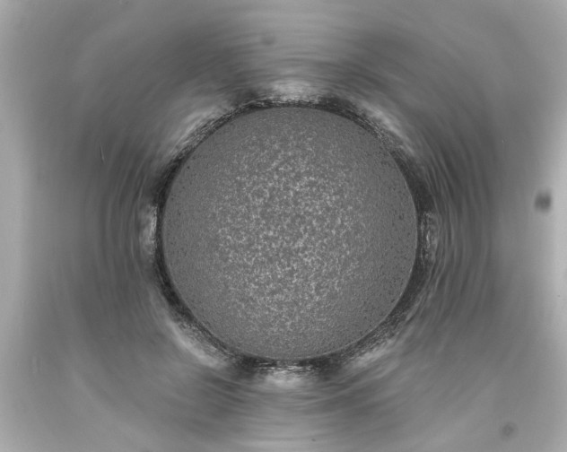 X0000094170550200711020943