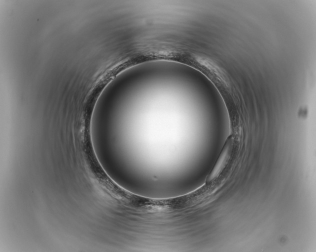 X0000094170552200711020943