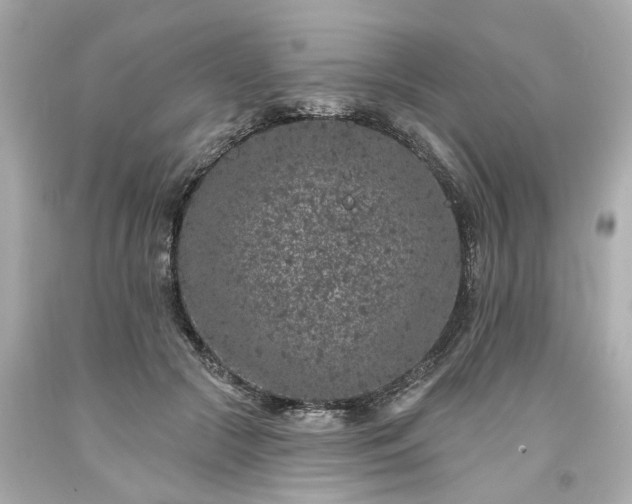 X0000094170553200711020943